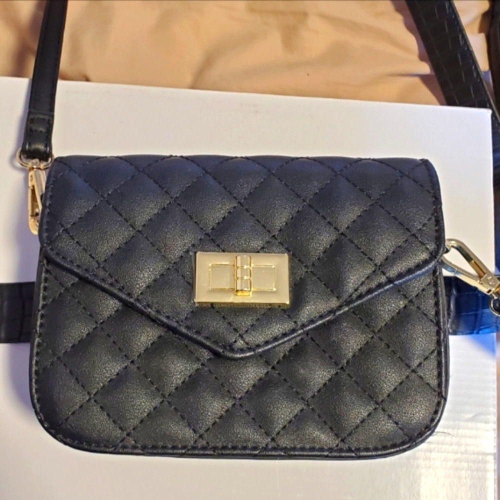 Multi-Purpose Purse and Bum Bag